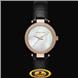 Đồng hồ Michael Kors MK2591 Diamond Chính hãng