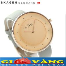Đồng hồ Skagen Nữ SKW2139 Chính hãng 